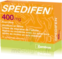 Spedifen 400 Mg, Comprimé Pelliculé Plq/12 à CANEJAN