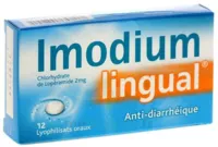 Imodiumlingual 2 Mg Lyophilisat Oral Plq/12 à CANEJAN
